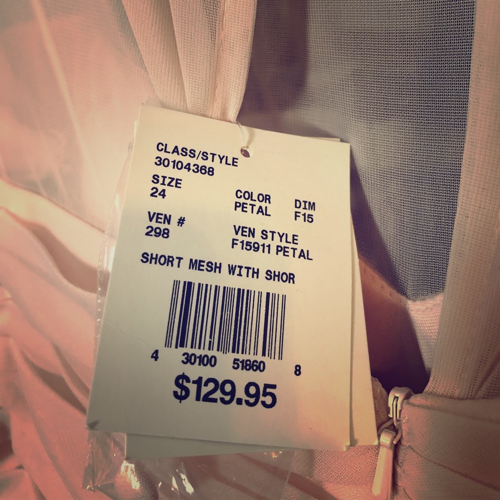 David’s bridal bridesmaid dress (never worn)